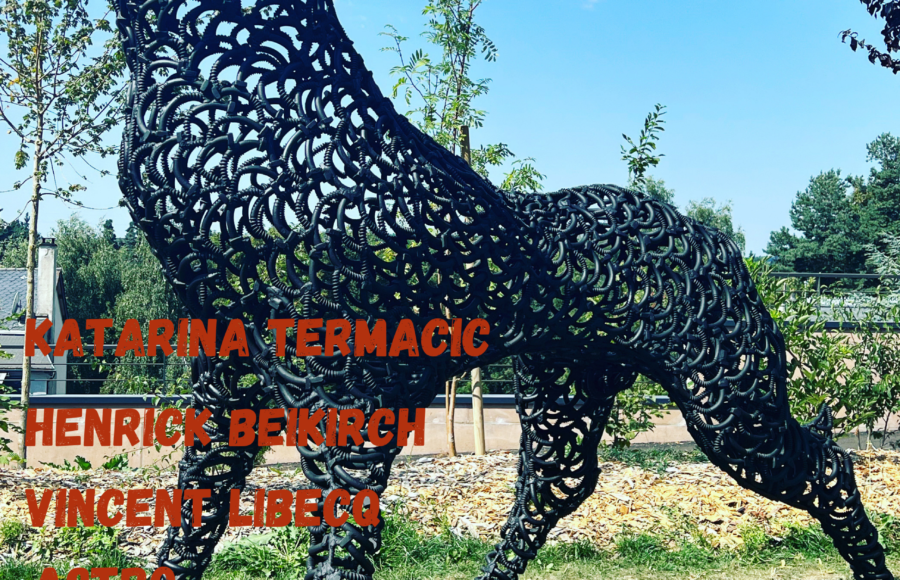 Magazine ART MAG 20 ASTRO LIBECQ TERMACIC ET HENRICK BEIKIRCH